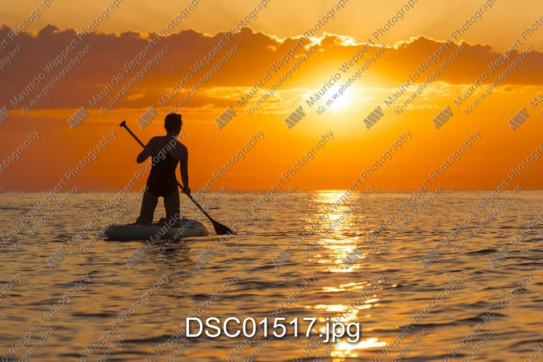 DSC01517.jpg