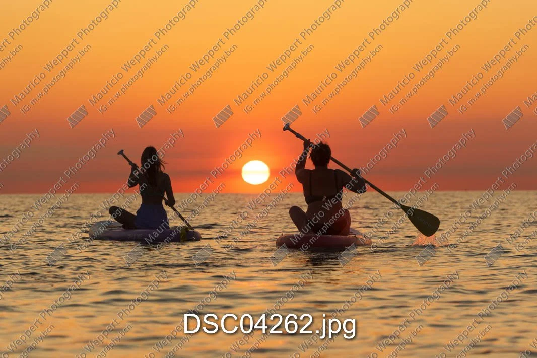 DSC04262.jpg