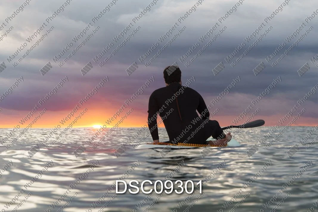 DSC09301.jpg