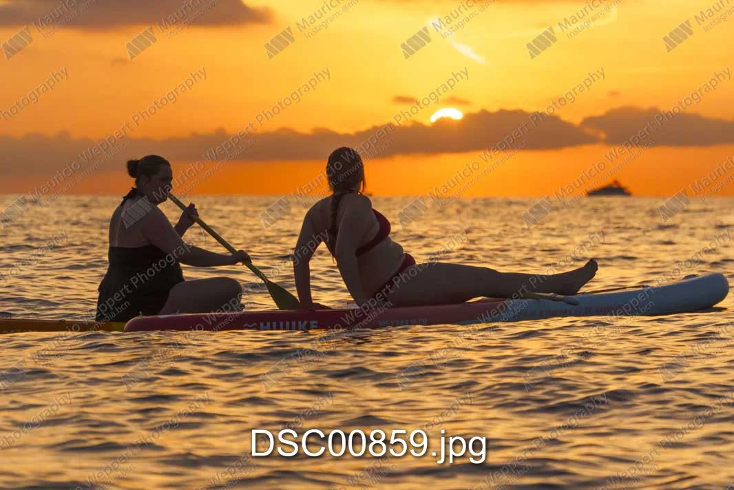 DSC00859.jpg