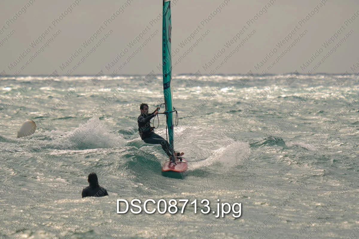 DSC08713.jpg