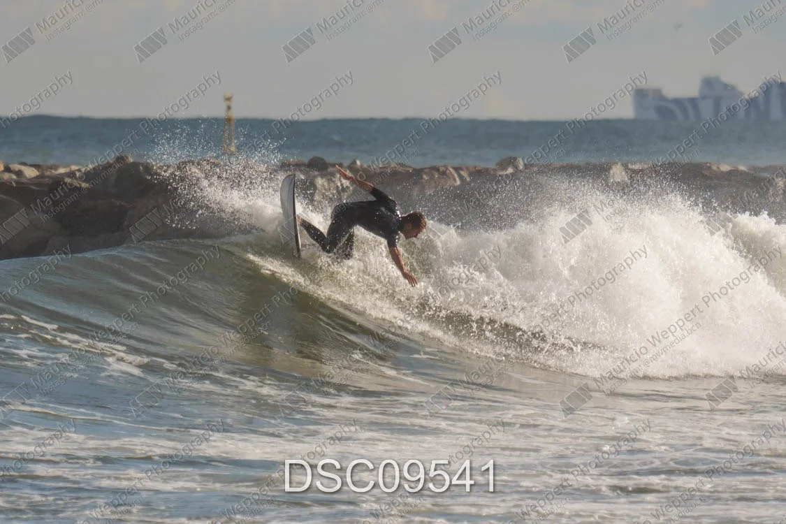 DSC09541.jpg