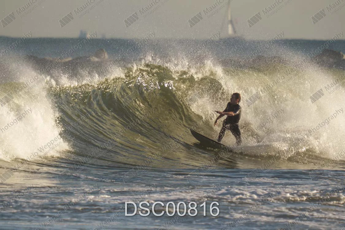 DSC00816.jpg