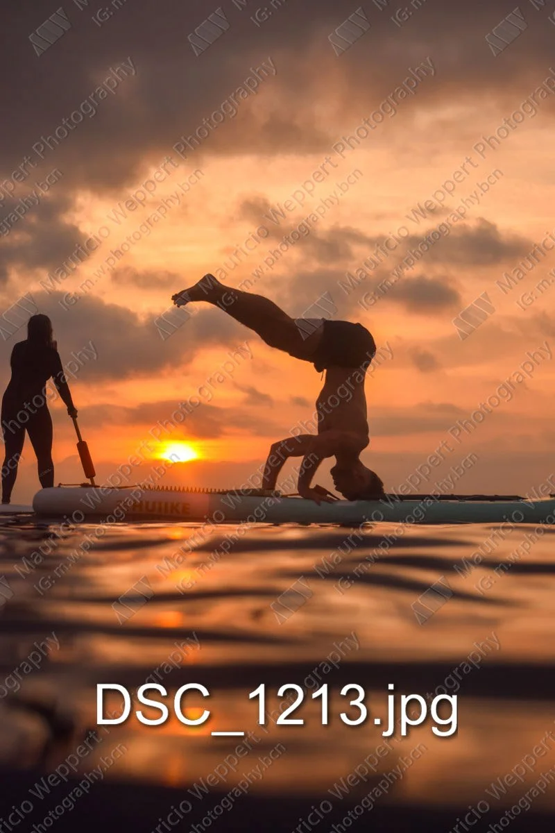 DSC_1213.jpg