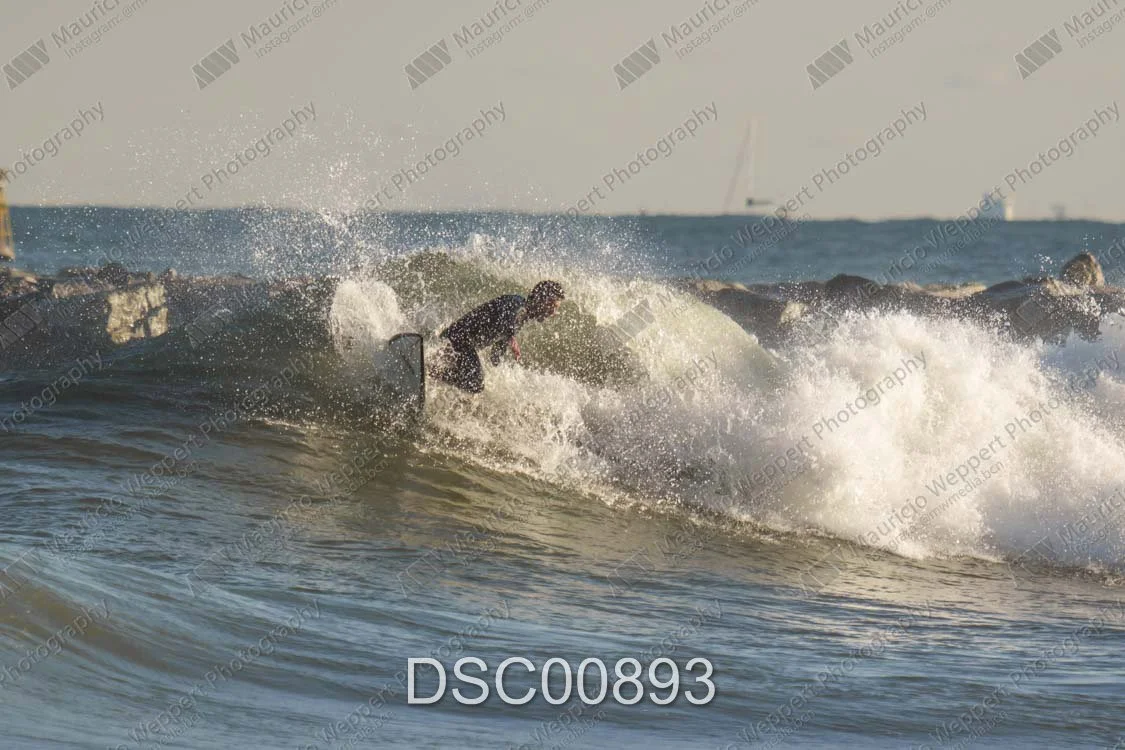 DSC00893.jpg