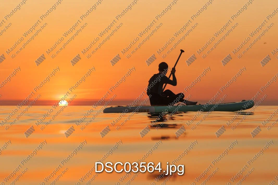 DSC03564.jpg