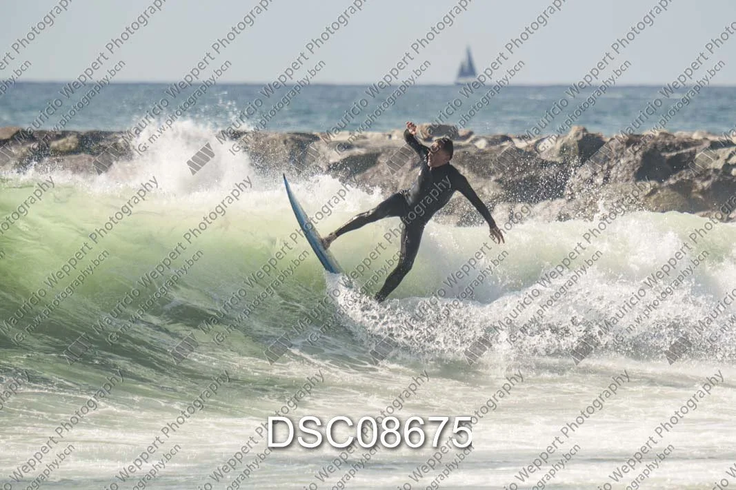 DSC08675.jpg