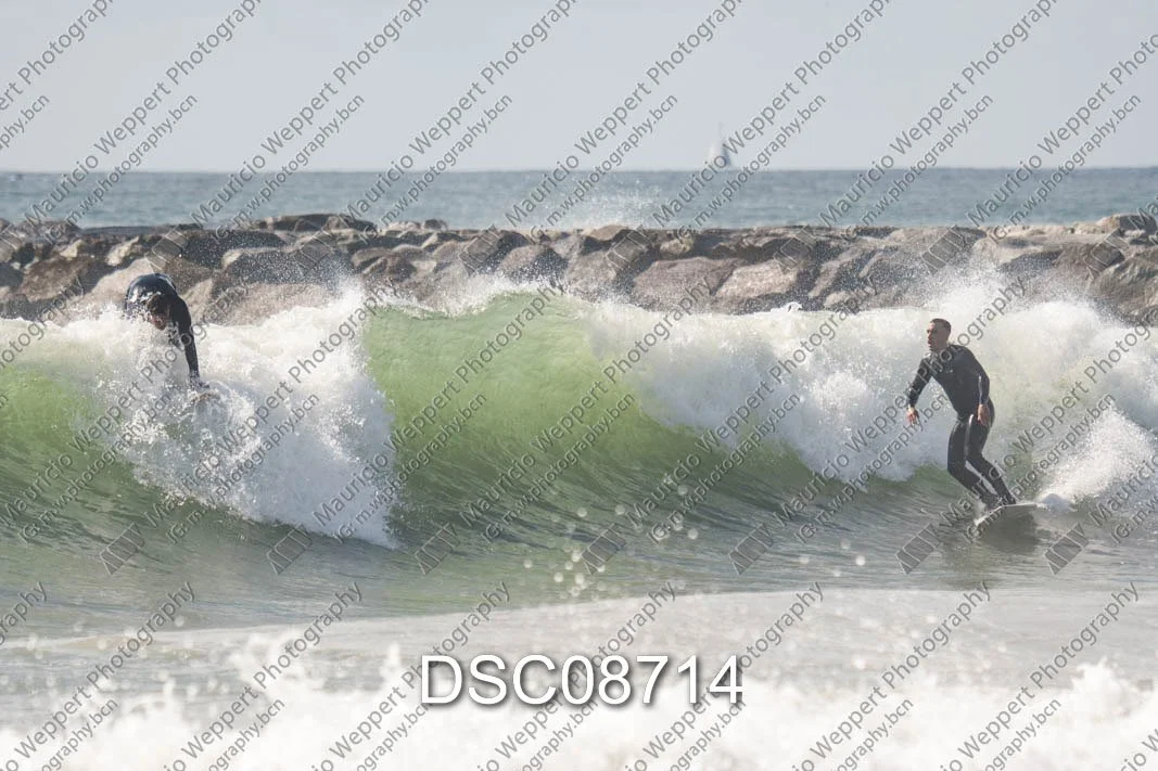 DSC08714.jpg