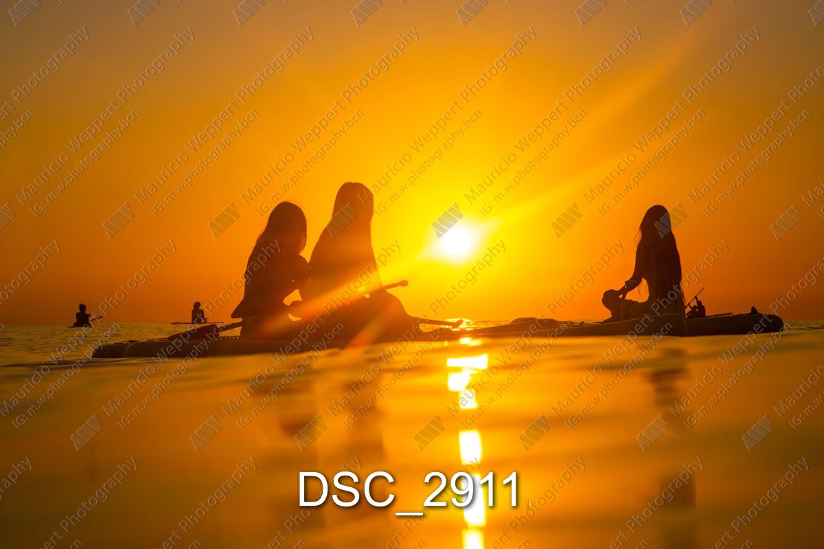DSC_2911.jpg