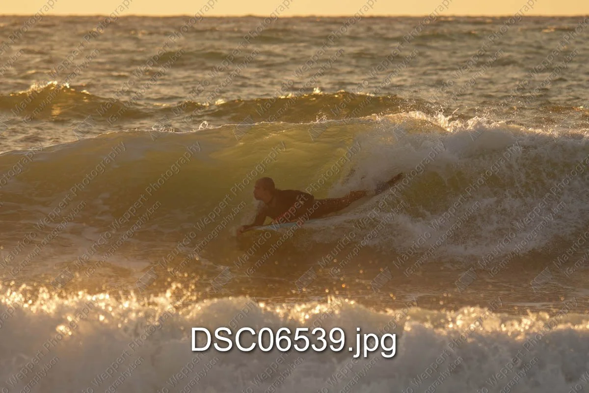 DSC06539.jpg