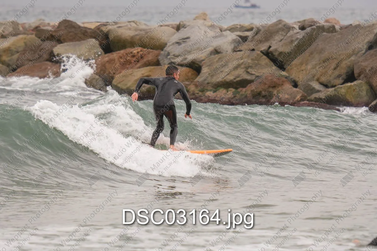 DSC03164.jpg