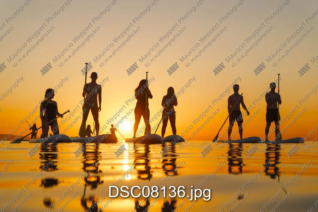 DSC08136.jpg