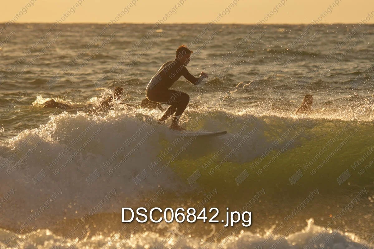 DSC06842.jpg