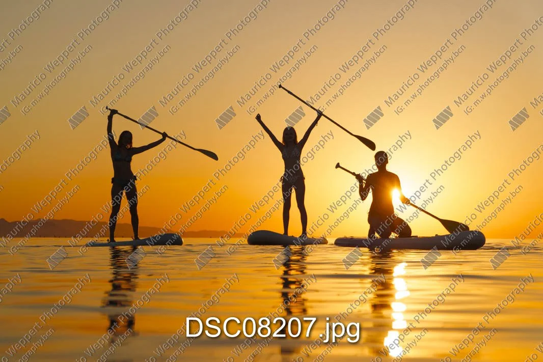 DSC08207.jpg