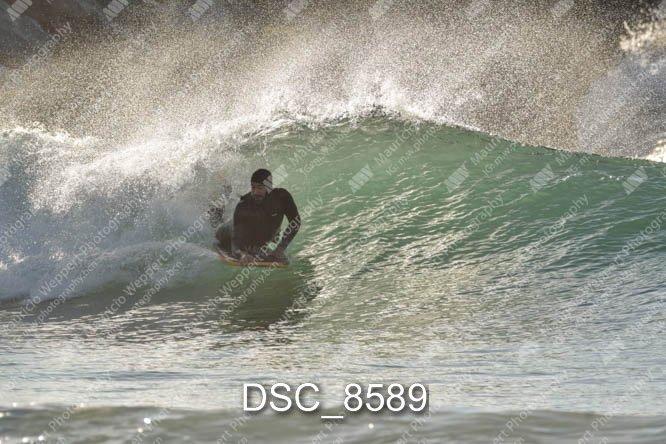 DSC_8589.jpg