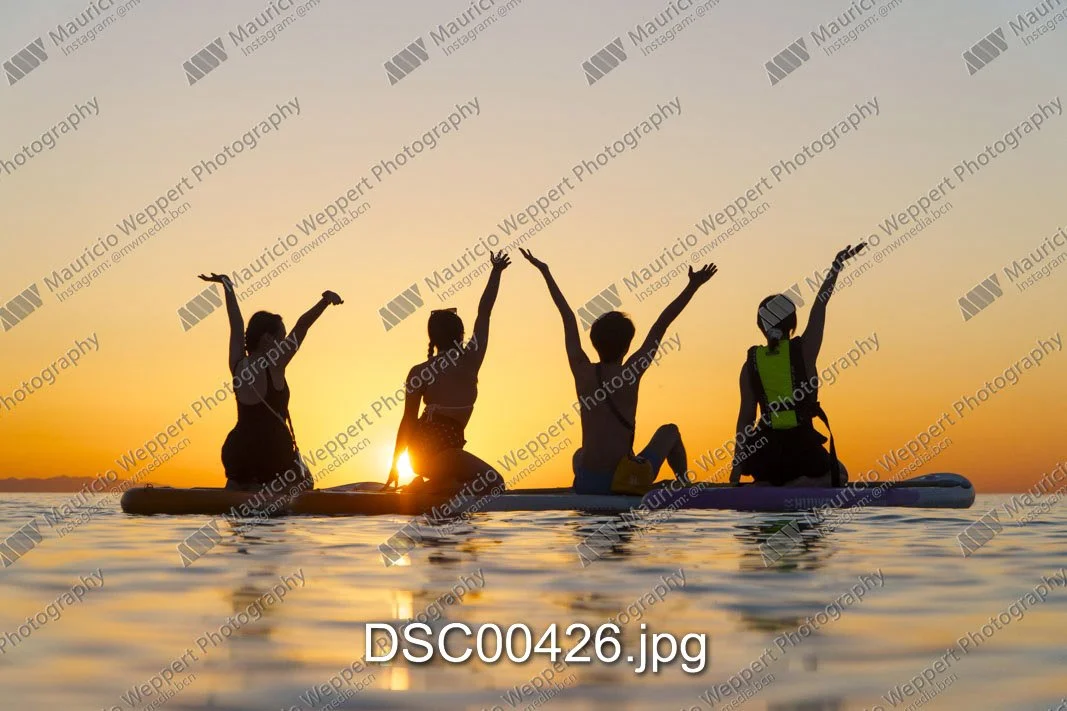 DSC00426.jpg