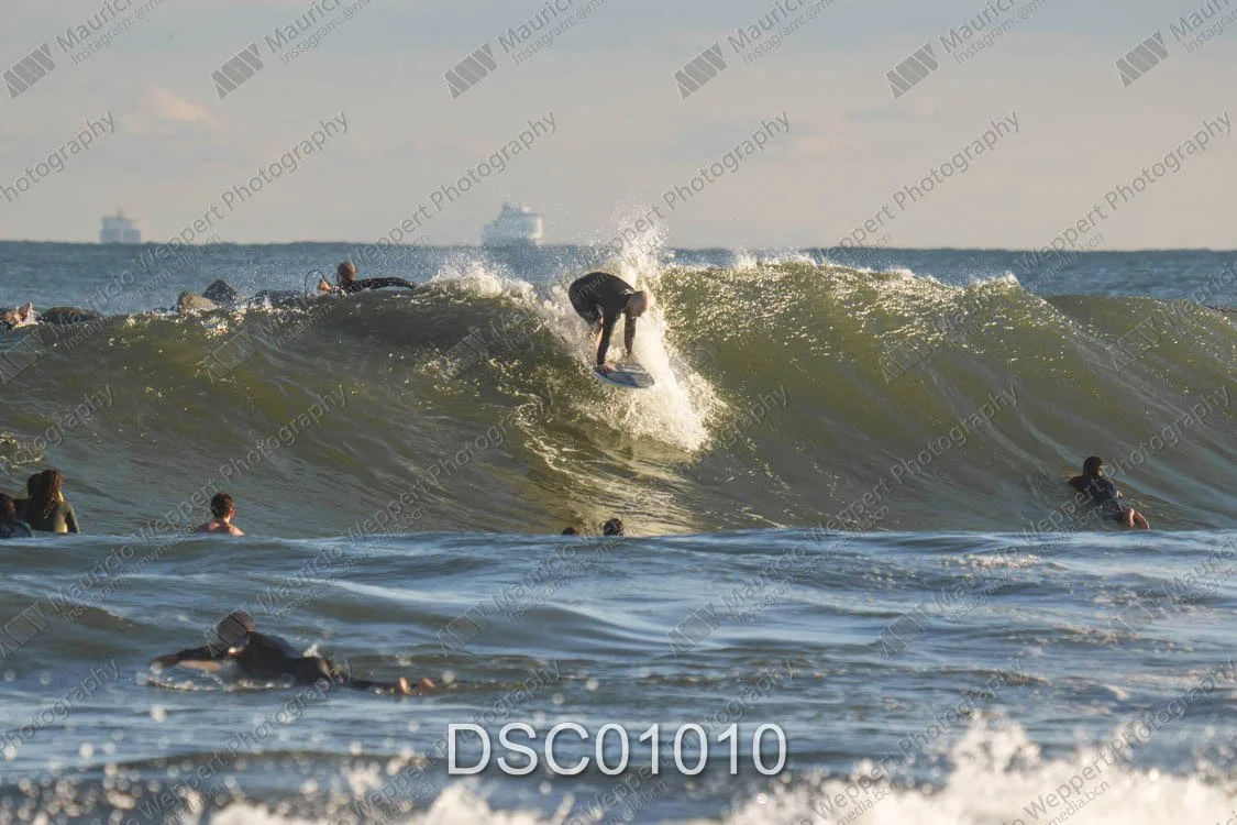DSC01010.jpg