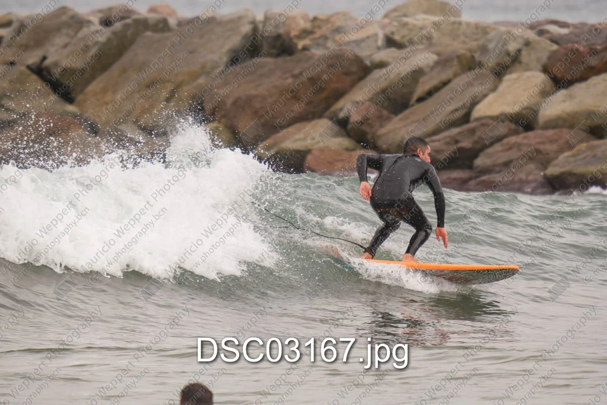 DSC03167.jpg