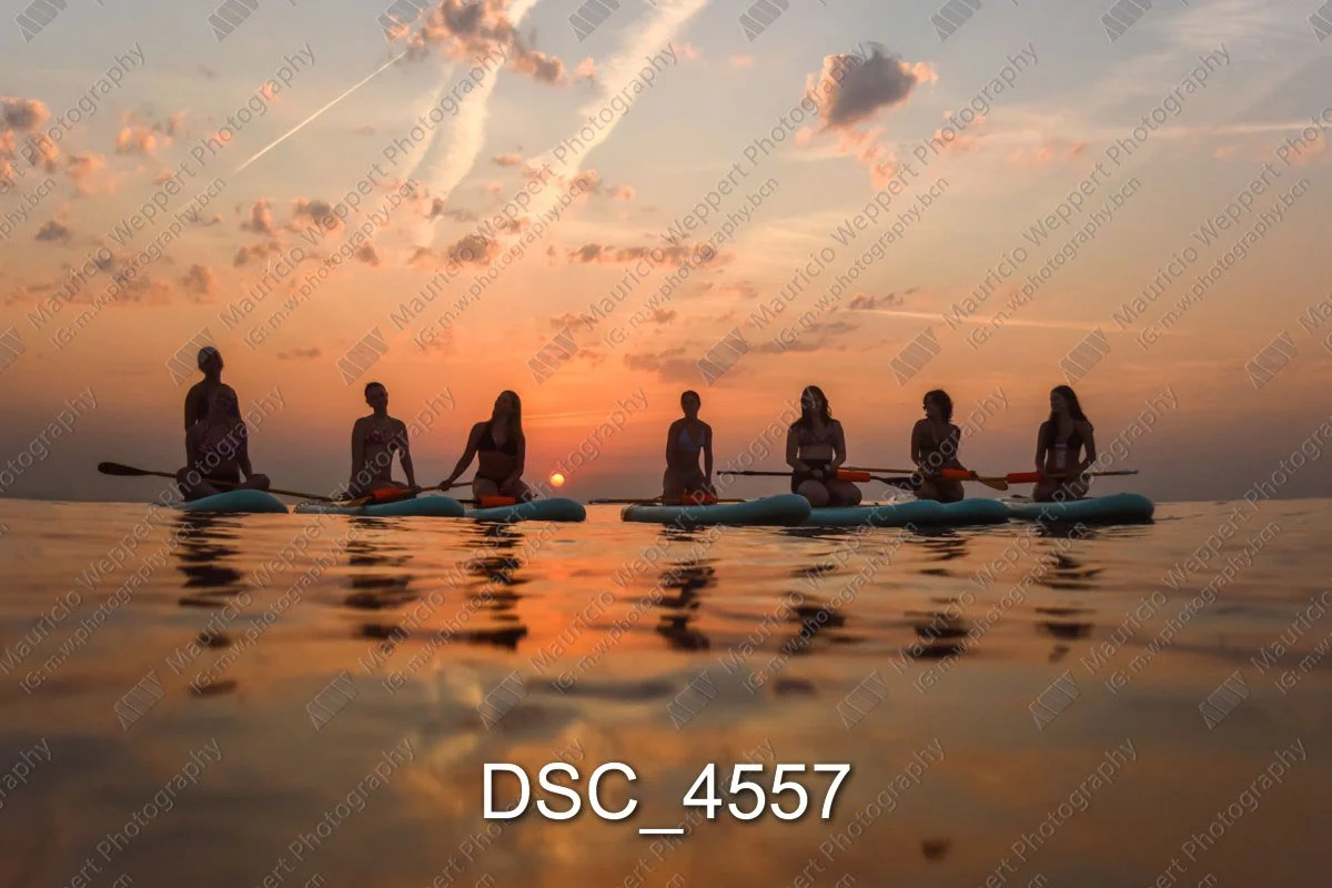 DSC_4557.jpg