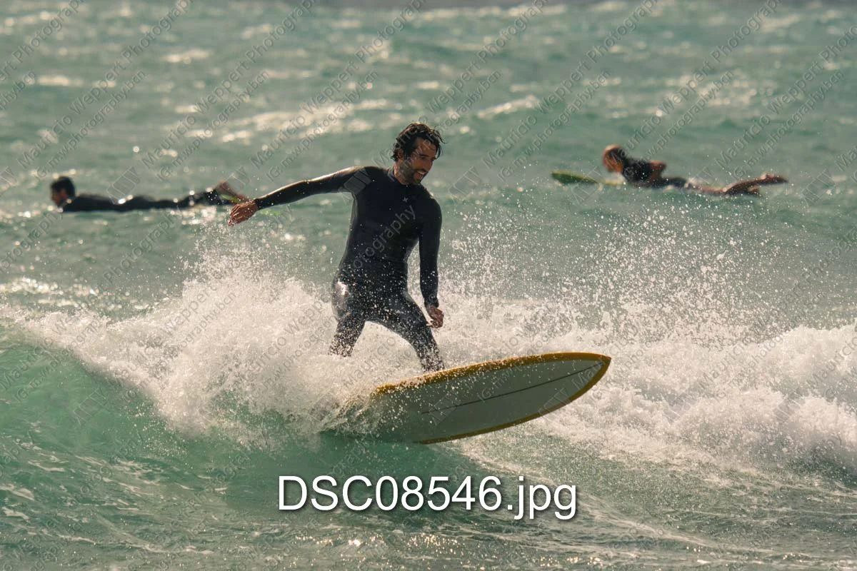 DSC08546.jpg