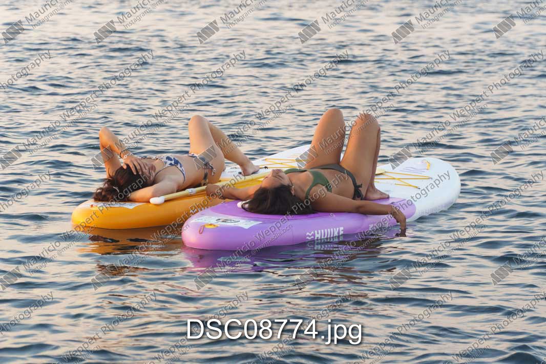 DSC08774.jpg