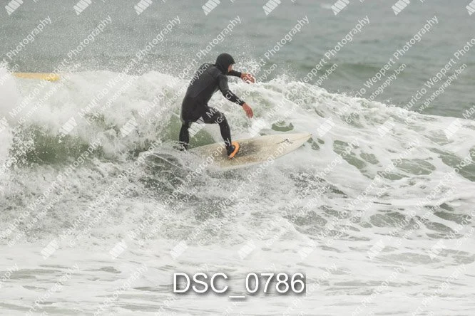DSC_0786.jpg