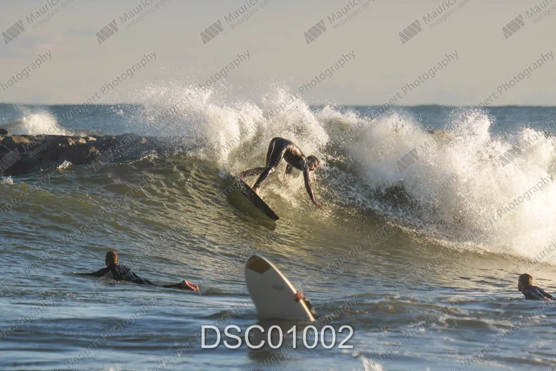 DSC01002.jpg