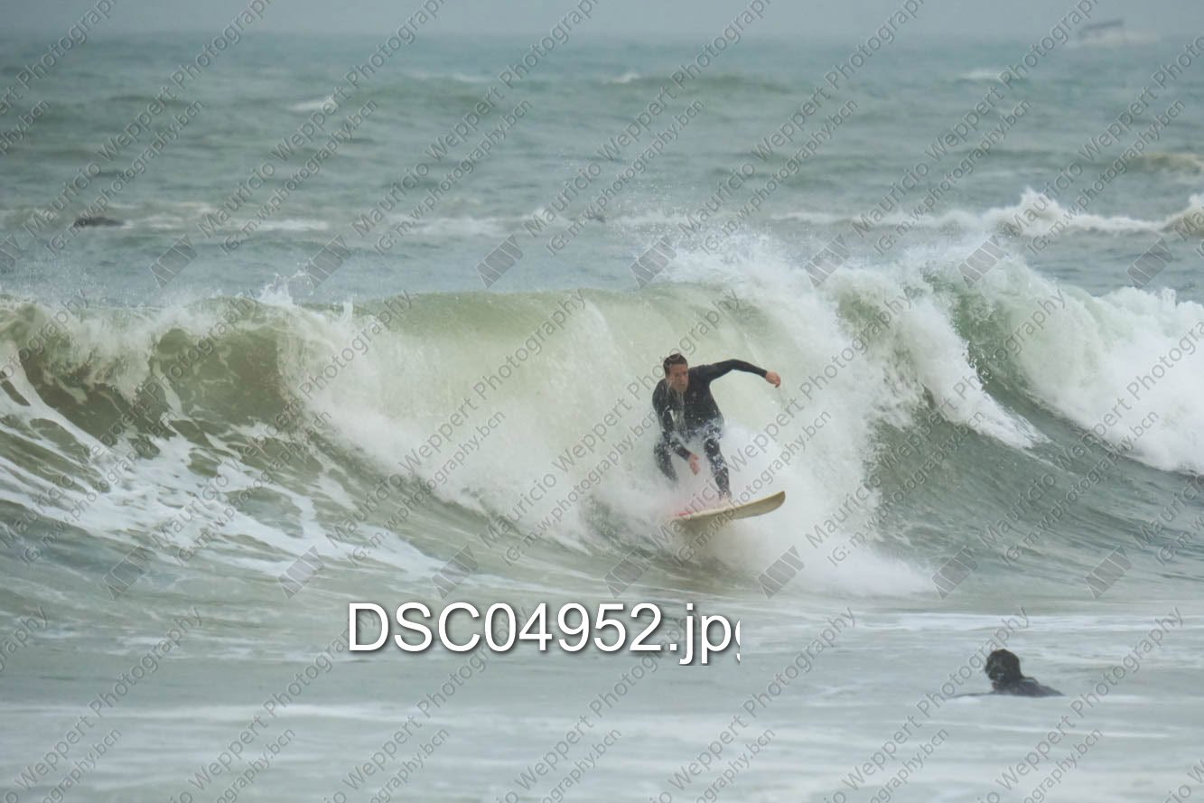 DSC04952.jpg