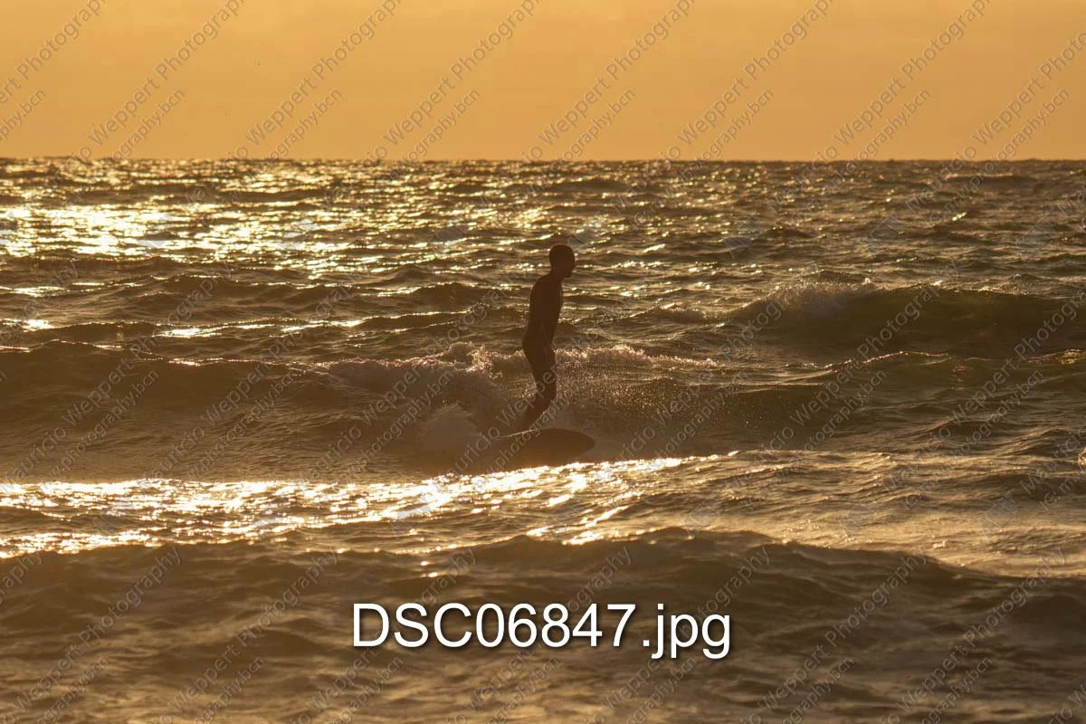 DSC06847.jpg
