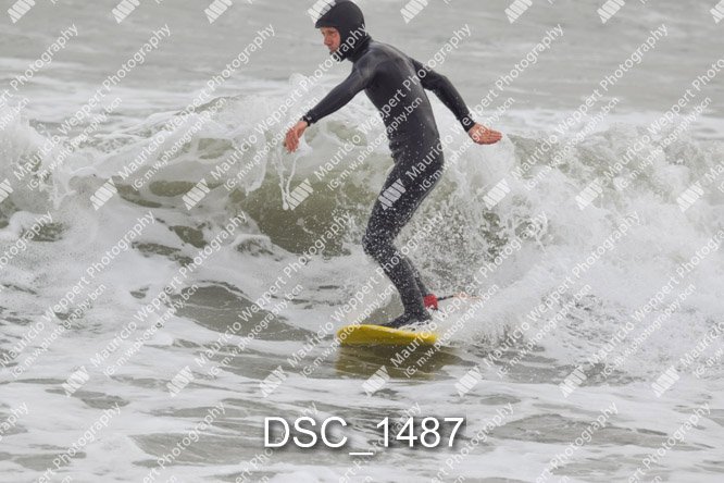 DSC_1487.jpg