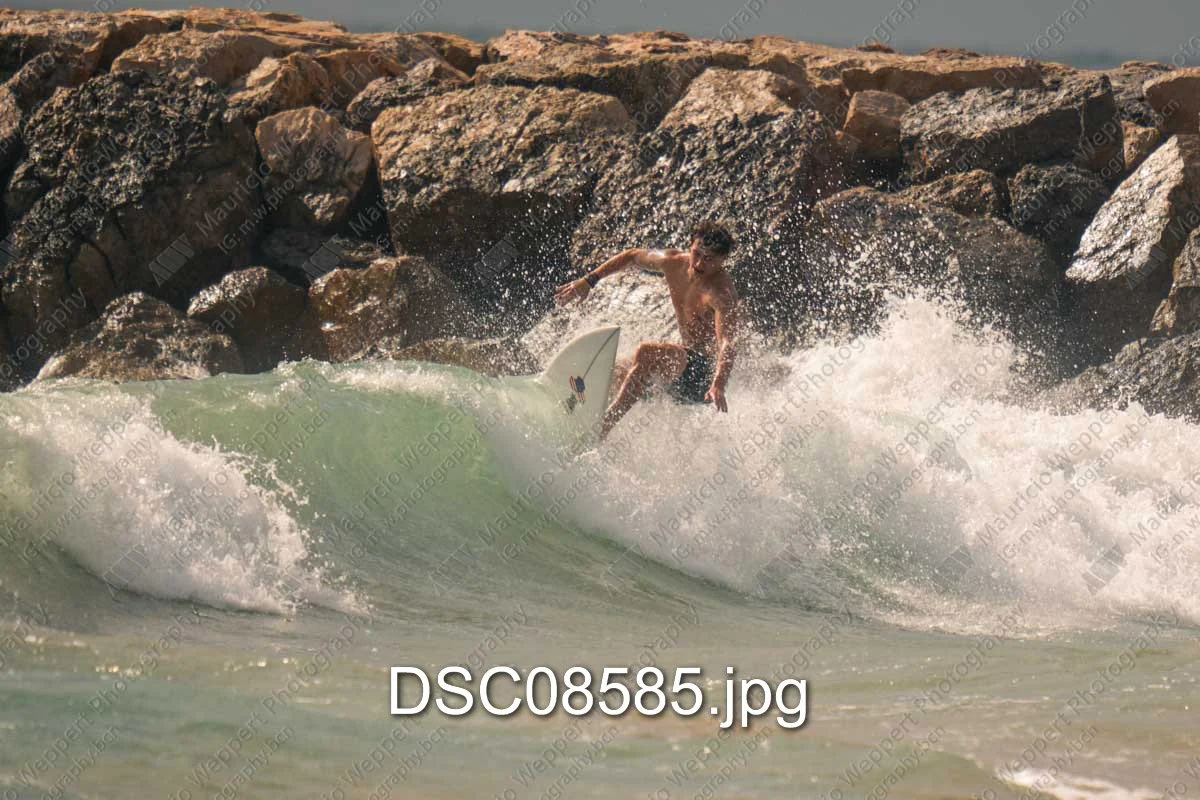 DSC08585.jpg