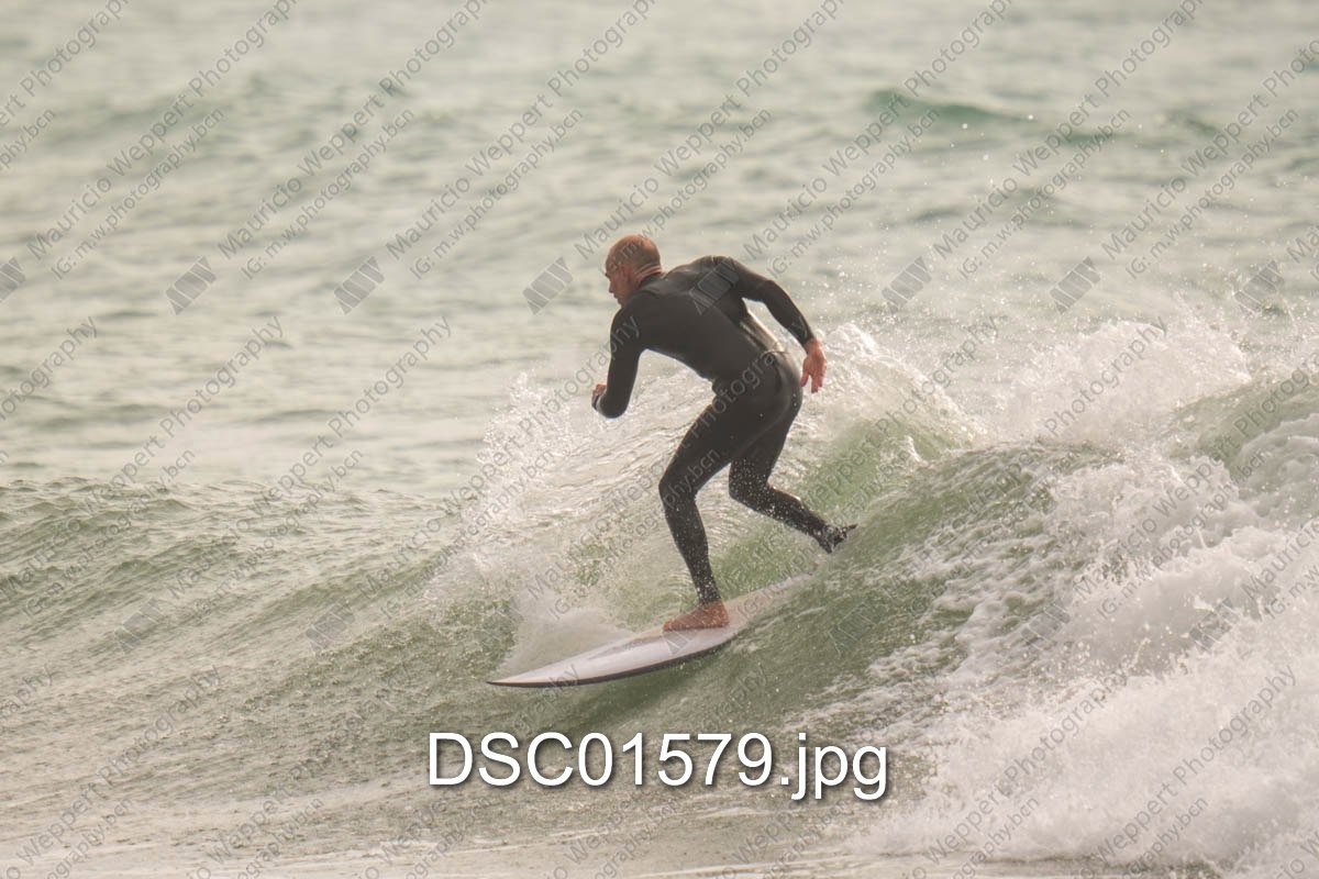 DSC01579.jpg
