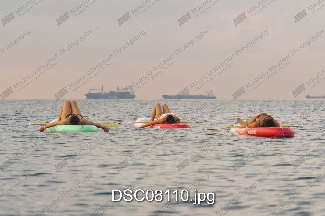 DSC08110.jpg
