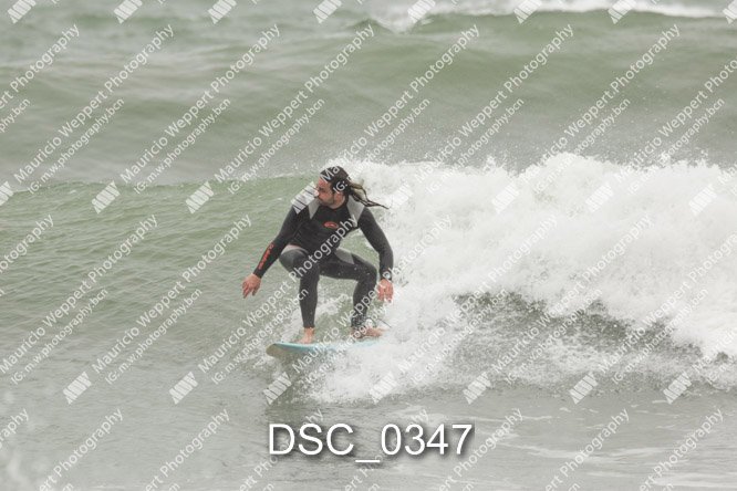 DSC_0347.jpg