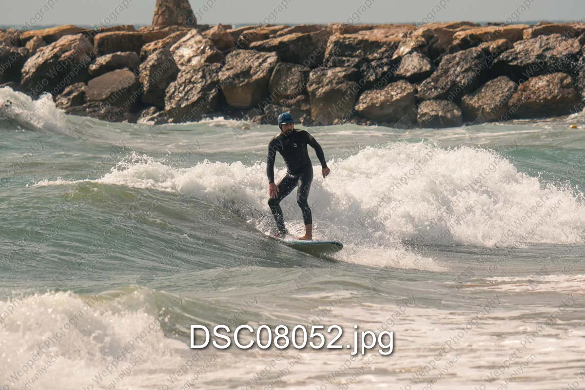 DSC08052.jpg