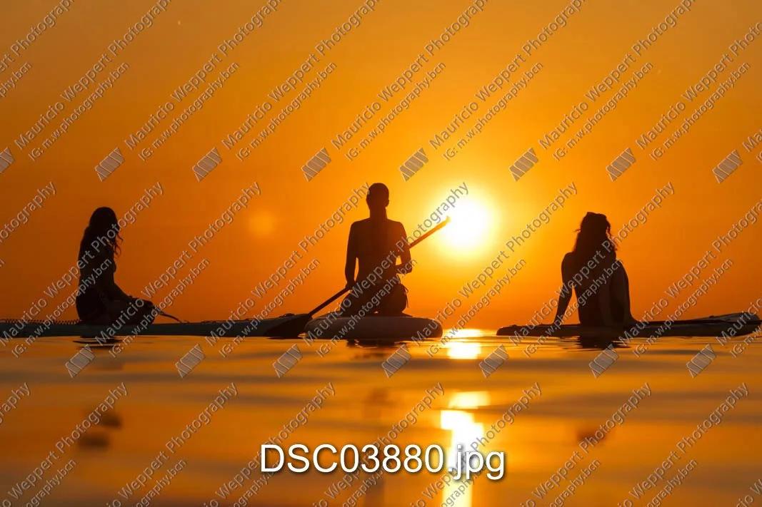 DSC03880.jpg