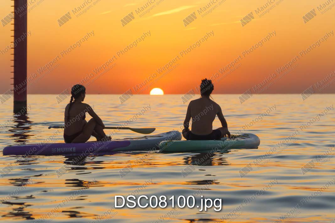 DSC08100.jpg