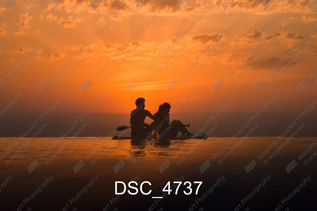 DSC_4737.jpg