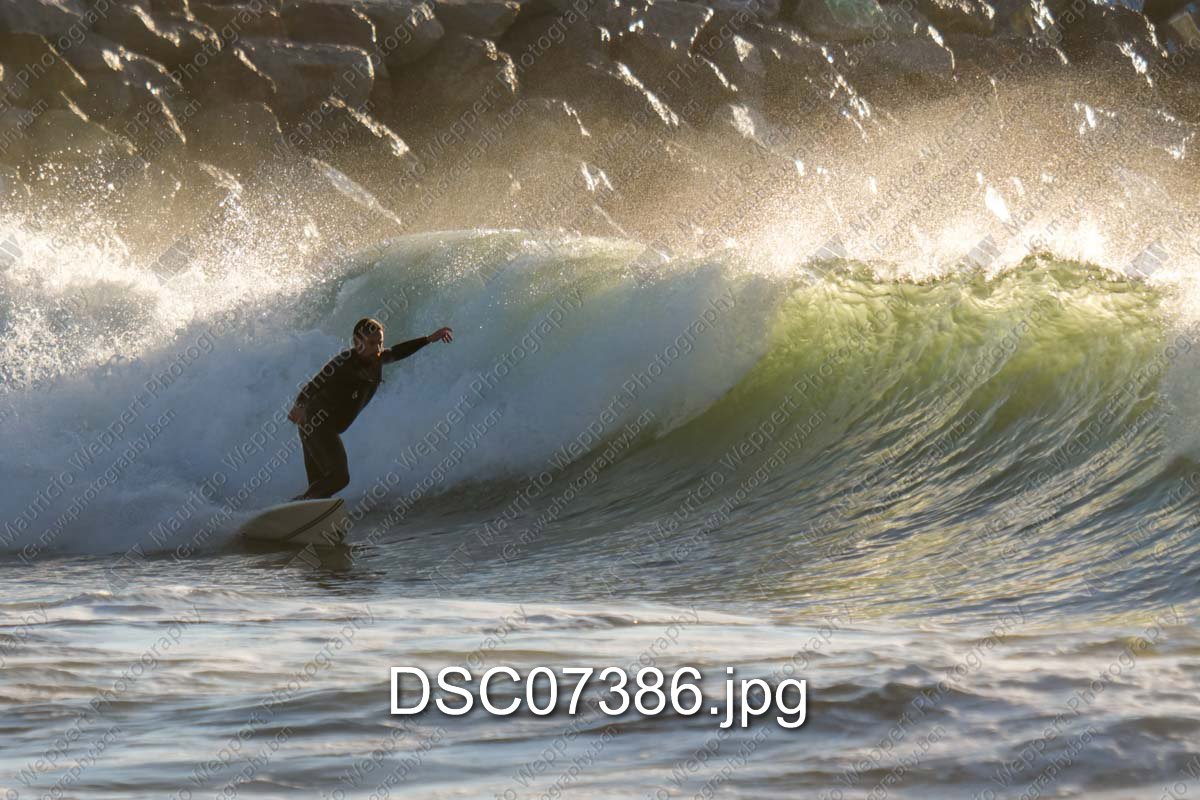 DSC07386.jpg