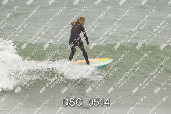DSC_0514.jpg