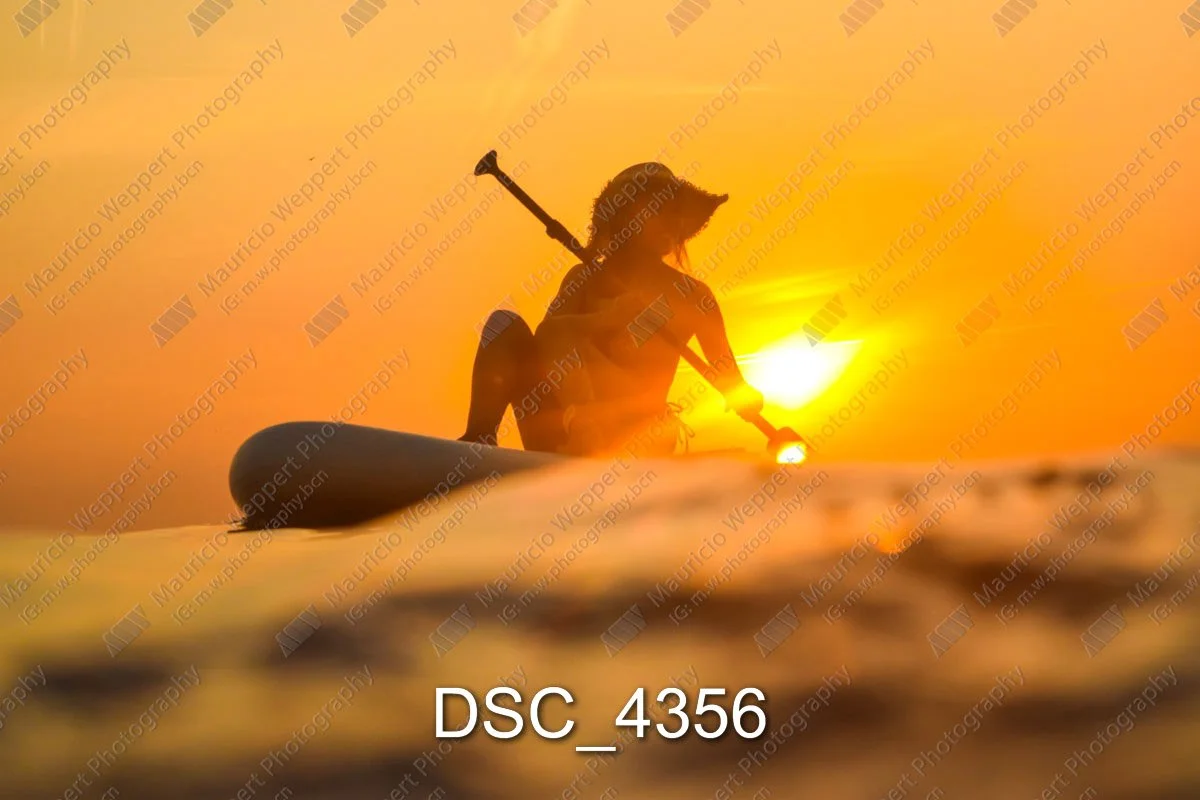 DSC_4356.jpg