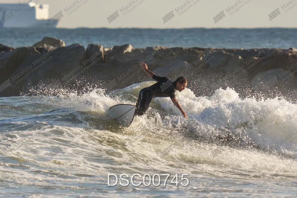 DSC00745.jpg