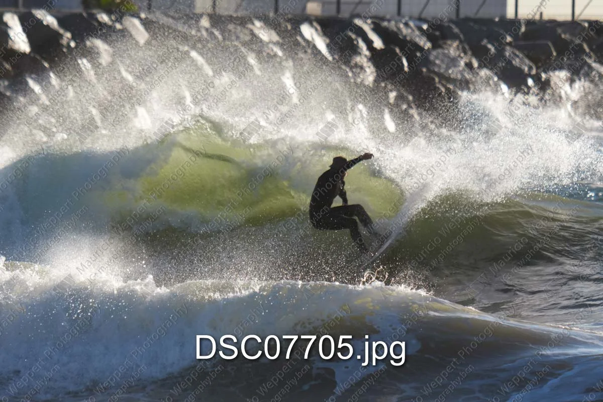 DSC07705.jpg