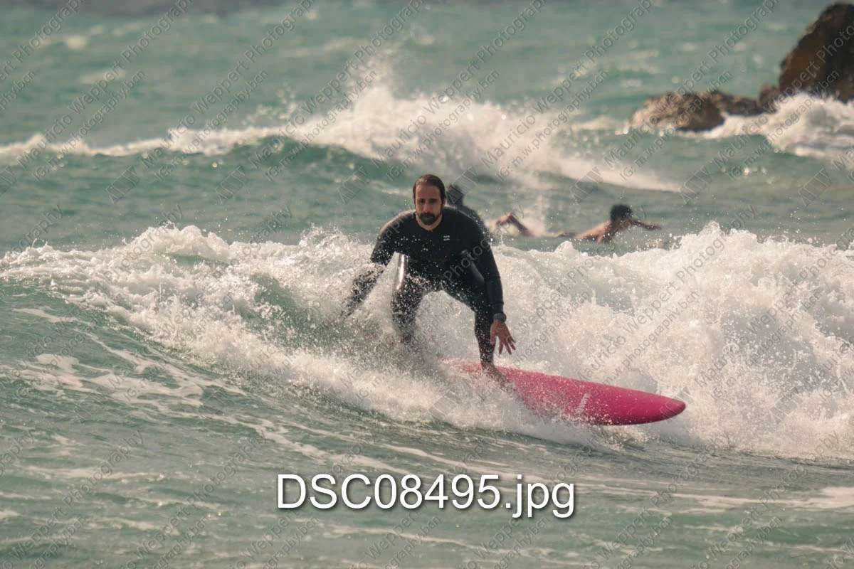 DSC08495.jpg