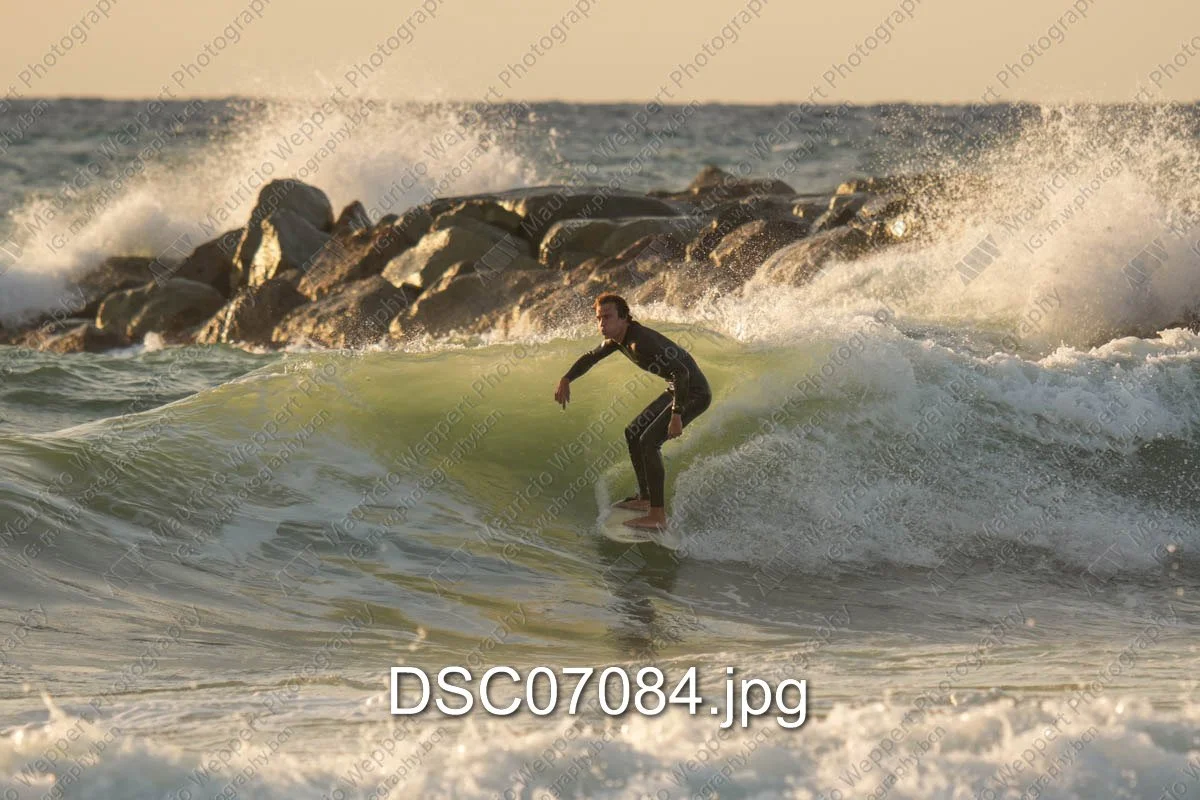 DSC07084.jpg