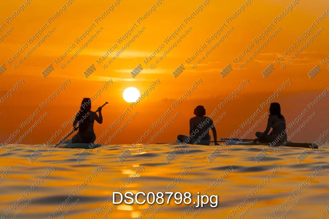 DSC08798.jpg