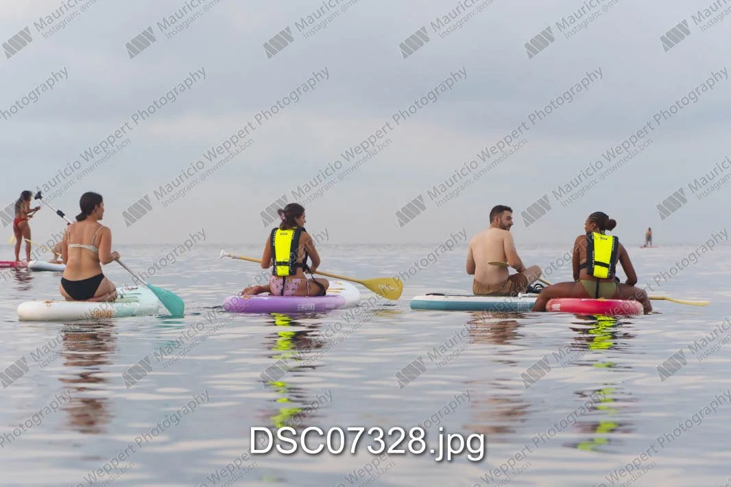 DSC07328.jpg