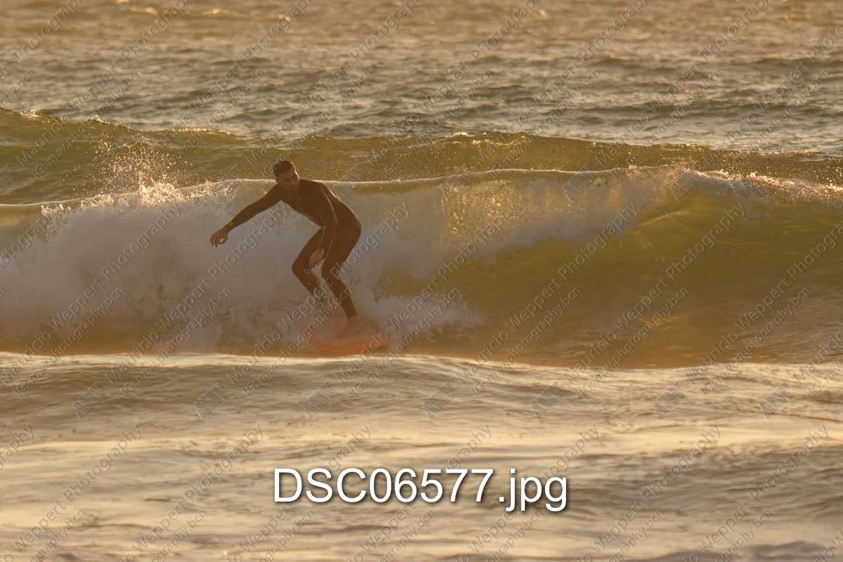 DSC06577.jpg