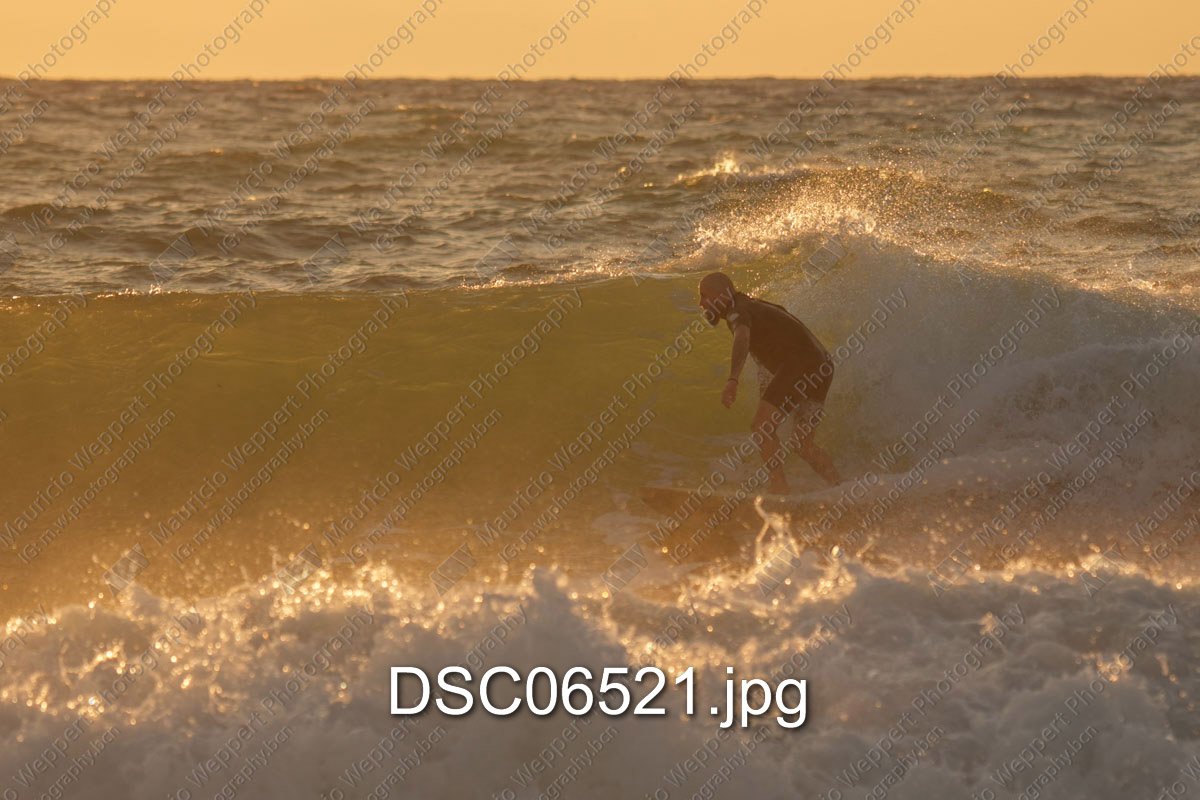 DSC06521.jpg
