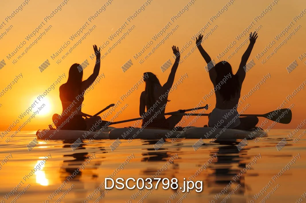 DSC03798.jpg